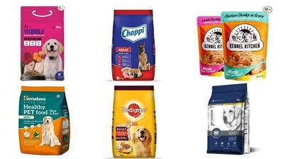 how do i choose the best dog food