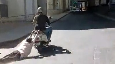 Screengrab from the video. (ANI) Screengrab from the video. (ANI)