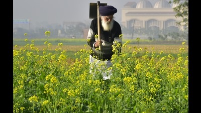 The state government will also organise ‘sarkar-kisan milni’ at PAU, Ludhiana on February 12 to take feedback and suggestions from the farmers for the proposed policy. (HT file photo) The state government will also organise ‘sarkar-kisan milni’ at PAU, Ludhiana on February 12 to take feedback and suggestions from the farmers for the proposed policy. (HT file photo)