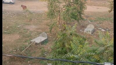 Those who use this site as a cremation ground claimed their ancestors were given a final adieu here. (Sourced) Those who use this site as a cremation ground claimed their ancestors were given a final adieu here. (Sourced)