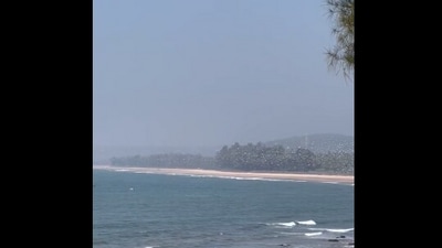 The image is taken from the Twitter video about flock of birds shared by actor Nikita Dutta. (Twitter/@nikifyinglife)