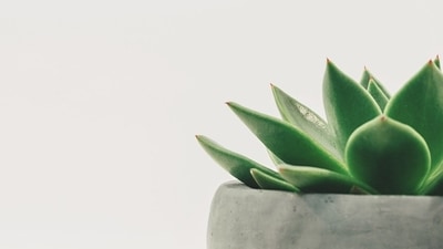 Minimalism is about making small, mindful choices about what to keep and what to let go of. With time and practice, you'll learn to live with less and enjoy the simplicity and freedom that comes with it. Decluttering is a key aspect of minimalism and is the process of getting rid of anything that no longer serves a purpose or brings joy. If you're interested in decluttering your life and embracing minimalism, here are a few tips to get started (Pixabay) Minimalism is about making small, mindful choices about what to keep and what to let go of. With time and practice, you'll learn to live with less and enjoy the simplicity and freedom that comes with it. Decluttering is a key aspect of minimalism and is the process of getting rid of anything that no longer serves a purpose or brings joy. If you're interested in decluttering your life and embracing minimalism, here are a few tips to get started (Pixabay)