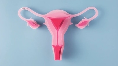 Pelvic infections, hormonal problems and even pregnancy complications can lead to development of ovarian cyst. (Freepik) Pelvic infections, hormonal problems and even pregnancy complications can lead to development of ovarian cyst. (Freepik)