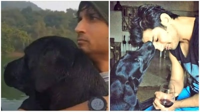 Sushant Singh Rajput's pet dog Fudge is dead. Sushant Singh Rajput's pet dog Fudge is dead.