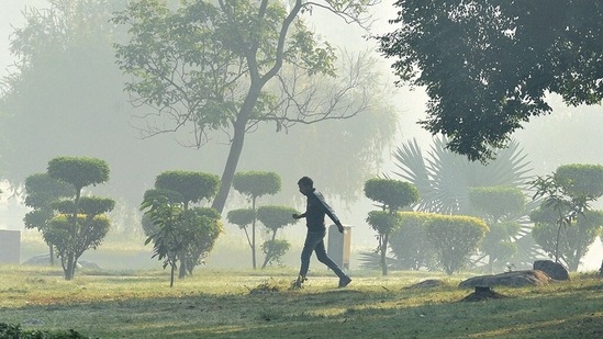 Bengaluru will continue to see foggy days this week.((Arvind Yadav / HT Photo/For representation))