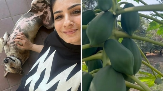 Raveena Tandon spends quality time at her farm.