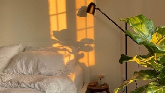 Start with a clear goal in mind: Before you begin decluttering, it's important to have a clear goal in mind. This could be anything from wanting to have a tidier home to wanting to have more time and energy for other things in life. Having a clear goal in mind will help you stay focused and motivated during the decluttering process.(Pinterest)