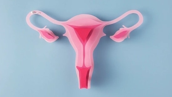 Pelvic infections, hormonal problems and even pregnancy complications can lead to development of ovarian cyst.(Freepik)