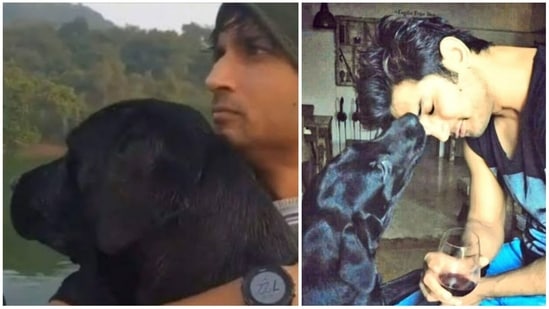 Sushant Singh Rajput's pet dog Fudge is dead. 