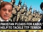 PAKISTAN PLEADS FOR KABUL'S HELP TO TACKLE TTP TERROR