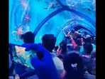 The tunnel aquarium show in Bengaluru's J P Nagar. The tunnel aquarium show in Bengaluru's J P Nagar.