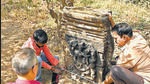 ASI officials visit the site where remains of a temple was discovered in Aarey Colony, Goregaon. (Vijay Bate/HT Photo) ASI officials visit the site where remains of a temple was discovered in Aarey Colony, Goregaon. (Vijay Bate/HT Photo)