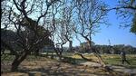 Clear weather on a cold day at Chanakyapuri in New Delhi on Wednesday. (Sanchit Khanna/HT Photo) Clear weather on a cold day at Chanakyapuri in New Delhi on Wednesday. (Sanchit Khanna/HT Photo)