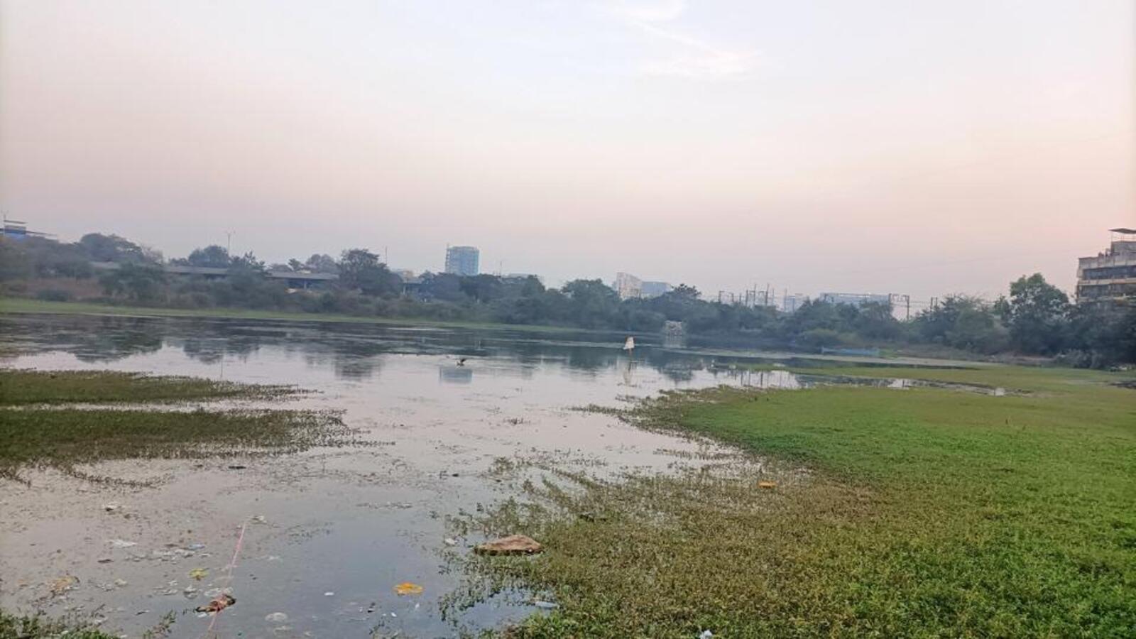 हाई कोर्ट ने अधिकारियों से लोटस झील की आर्द्रभूमि स्थिति को सत्यापित करने के लिए कहा