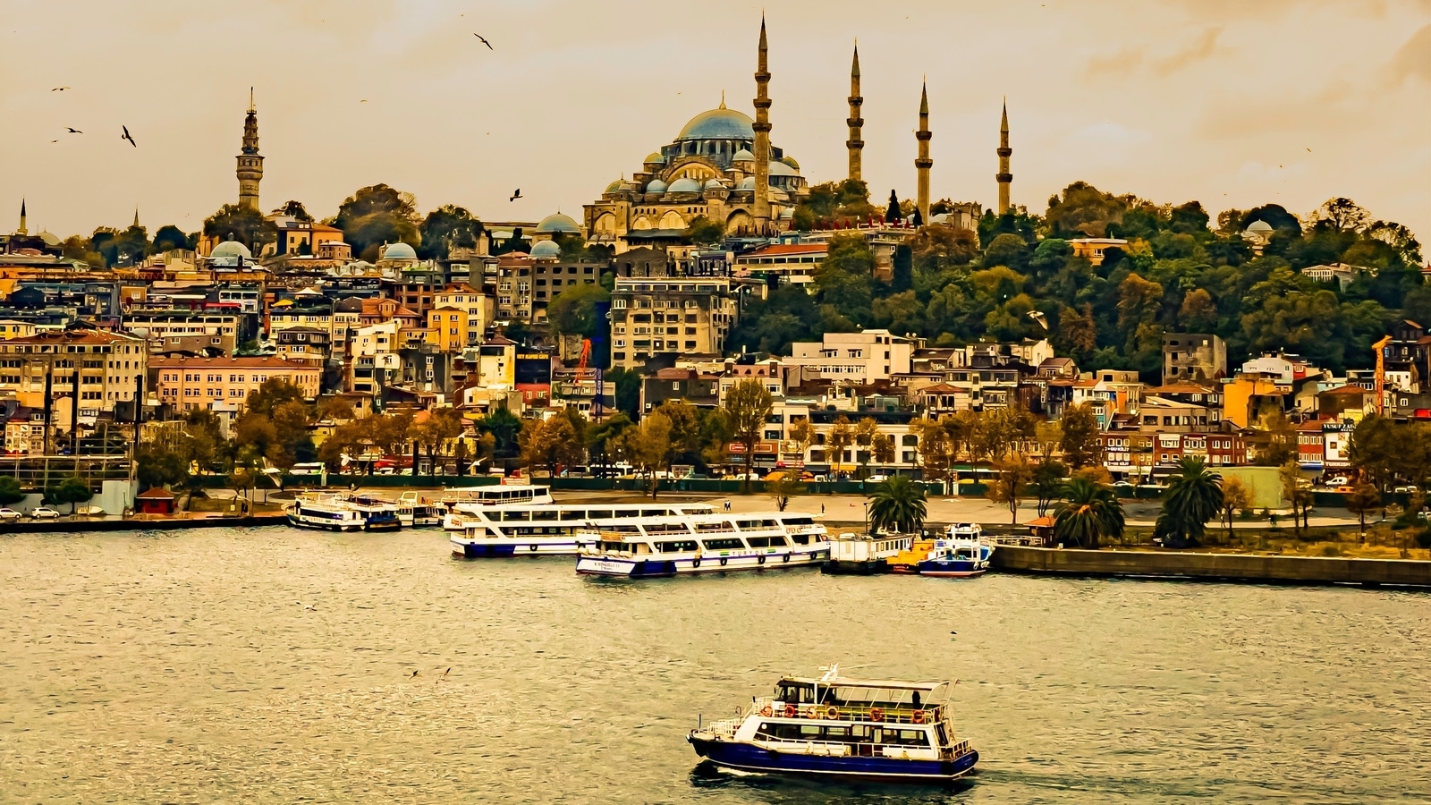 Türkiye Seyahat Uyarısı: Turkuaz Sahili Boyunca Tekne Gezisine Çıkmak İçin İpuçları |  Seyahat