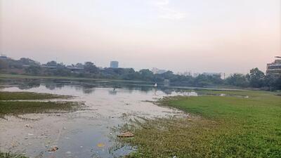 A PIL stated,“Lotus lake has been under attack due to dumping of debris by miscreants and chestnut farming for liquor making. The authorities concerned ought to protect the waterbody. Moreover, the Supreme Court has clearly directed to protect the 2.5 lakh wetlands listed in the atlas.” (Bachchan Kumar/HT Photo) A PIL stated,“Lotus lake has been under attack due to dumping of debris by miscreants and chestnut farming for liquor making. The authorities concerned ought to protect the waterbody. Moreover, the Supreme Court has clearly directed to protect the 2.5 lakh wetlands listed in the atlas.” (Bachchan Kumar/HT Photo)