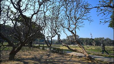 Clear weather on a cold day at Chanakyapuri in New Delhi on Wednesday. (Sanchit Khanna/HT Photo) Clear weather on a cold day at Chanakyapuri in New Delhi on Wednesday. (Sanchit Khanna/HT Photo)