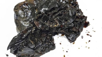Ayurveda expert debunks myths about Shilajit, the Himalayan herb (Twitter/HighT_Tips) Ayurveda expert debunks myths about Shilajit, the Himalayan herb (Twitter/HighT_Tips)