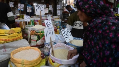 Pakistan Economic Crisis: A woman checks rice prices at a main wholesale market in Karachi. (AFP) Pakistan Economic Crisis: A woman checks rice prices at a main wholesale market in Karachi. (AFP)