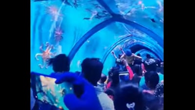 The tunnel aquarium show in Bengaluru's J P Nagar. (Joel Nathaniel Manuel/Youtube) The tunnel aquarium show in Bengaluru's J P Nagar. (Joel Nathaniel Manuel/Youtube)