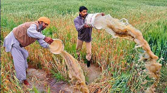 According to latest official data from a background note prepared by the ministry of agriculture on “the functioning of the agricultural credit system in the country”, the share of investment credit in total agriculture credit stood at 41% during 2021-22, one percentage point below its peak of 42% achieved in 2006-06. (AFP)