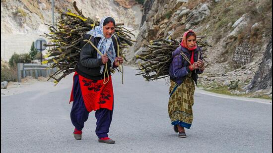 Women carry firewood on their back on a road, at a land subsidence affected area in Joshimath. (PTI)