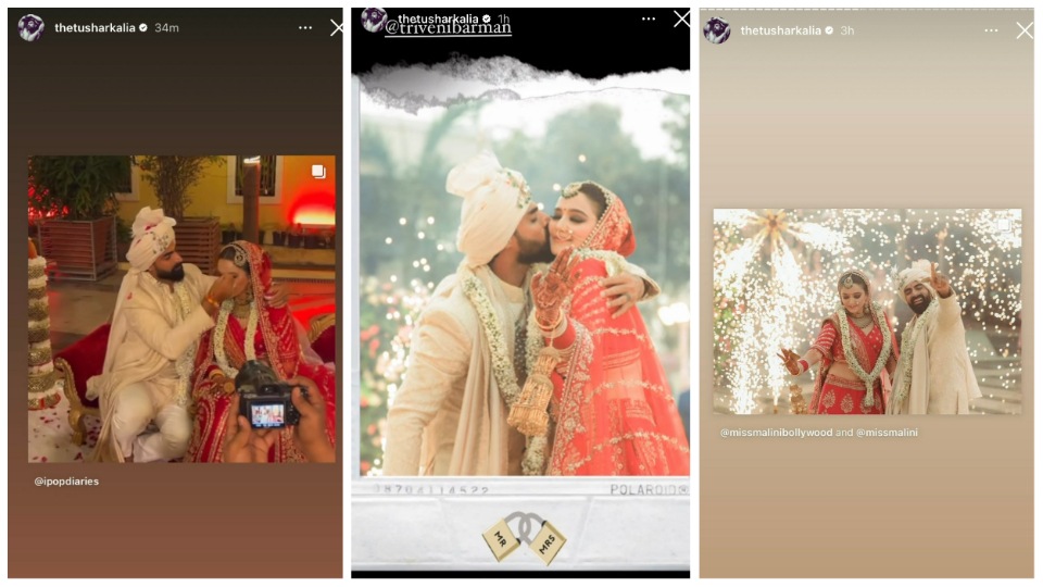 Tushar Kalia shares glimpses from his wedding with Triveni Barman via Instagram Stories.