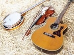 American music: A musical platter to be explored(Unsplash) American music: A musical platter to be explored(Unsplash)