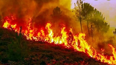 The forest fires were detected by the Forest Survey of India using Suomi National Polar-orbiting Partnership (SNPP) - Visible Infrared Imaging Radiometer Suite (VIIRS) sensors. (Representational Image) The forest fires were detected by the Forest Survey of India using Suomi National Polar-orbiting Partnership (SNPP) - Visible Infrared Imaging Radiometer Suite (VIIRS) sensors. (Representational Image)