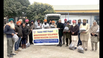 GADVASU organised two one-day training camps for beneficiary farmers at adopted villages in Block Mehal Kalan of Barnala district under ICAR funded ‘Farmer FIRST’ project to promote mushroom cultivation in Ludhiana on Thursday. (HT Photo)