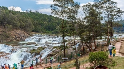 When in Ooty, go for a trek: Here's a guide (Shutterstock) When in Ooty, go for a trek: Here's a guide (Shutterstock)