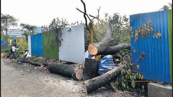 Mumbai, India - October 7, 2019: Chopped down trees are seen at Metro car shed in Aarey Colony in Mumbai, India, on Monday, October 7, 2019. (Photo by Satyabrata Tripathy/Hindustan Times) (Satyabrata Tripathy/HT Photo) Mumbai, India - October 7, 2019: Chopped down trees are seen at Metro car shed in Aarey Colony in Mumbai, India, on Monday, October 7, 2019. (Photo by Satyabrata Tripathy/Hindustan Times) (Satyabrata Tripathy/HT Photo)