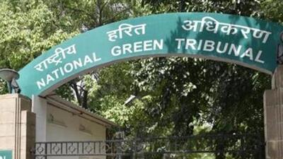The NGT chairperson had formed a six-member expert committee comprising environment experts from the IIT for a high-level probe into violations by stone crushers in Mahendergarh district of Haryana. (HT File Photo)