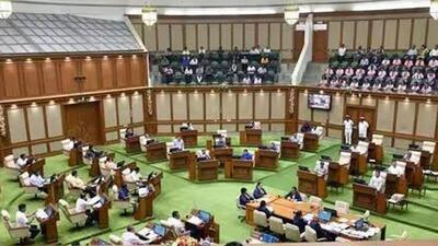 The resolution was initially moved by the government as a discussion. (File image) The resolution was initially moved by the government as a discussion. (File image)