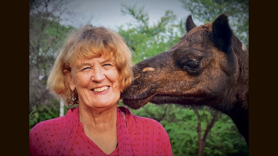 Author Ilse Kohler-Rollefson (Jaipur Literature Festival)