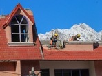 Joshimath: NDRF and SDRF personnel demolish the Malari Inn hotel, which has been marked unsafe, in the land subsidence affected area in Joshimath.(PTI) Joshimath: NDRF and SDRF personnel demolish the Malari Inn hotel, which has been marked unsafe, in the land subsidence affected area in Joshimath.(PTI)