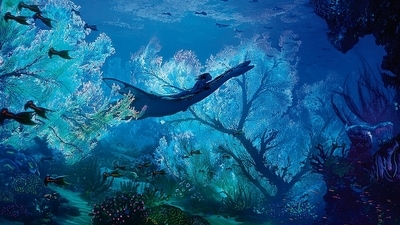Avatar: The Way of Water has been directed by James Cameron.