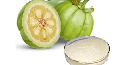 2. Garcinia Cambogia Extract - It is a tiny, green fruit with a pumpkin-like shape. The active component in garcinia cambogia extract, sold as a diet supplement, is hydroxy-citric acid, which can be found in the fruit's skin. Restricting a fat-producing enzyme in the body and raising serotonin levels may help decrease cravings, which may aid in weight loss or fat loss. (Photo by AnYuensun on Twitter) 2. Garcinia Cambogia Extract - It is a tiny, green fruit with a pumpkin-like shape. The active component in garcinia cambogia extract, sold as a diet supplement, is hydroxy-citric acid, which can be found in the fruit's skin. Restricting a fat-producing enzyme in the body and raising serotonin levels may help decrease cravings, which may aid in weight loss or fat loss. (Photo by AnYuensun on Twitter)