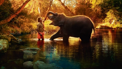 Gonsalves spent 18 months just building a bond with the little family, so that they would be comfortable around her. The result is a wealth of endearing, candid moments. In one such moment, during bath time, Bomman asks Raghu, ‘Who’s the best elephant?’ Gonsalves spent 18 months just building a bond with the little family, so that they would be comfortable around her. The result is a wealth of endearing, candid moments. In one such moment, during bath time, Bomman asks Raghu, ‘Who’s the best elephant?’