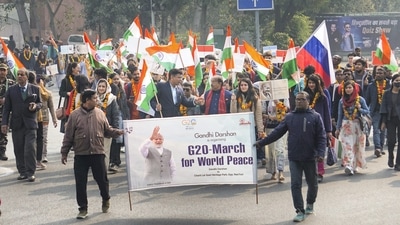 The G20 or Group of 20 is an intergovernmental forum of the world's major developed and developing economies.&nbsp; (PTI)