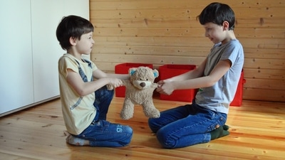 Unhealthy sibling rivalry is characterized by constant fighting, verbal or physical abuse, and can lead to feelings of resentment and jealousy (Pexels) Unhealthy sibling rivalry is characterized by constant fighting, verbal or physical abuse, and can lead to feelings of resentment and jealousy (Pexels)