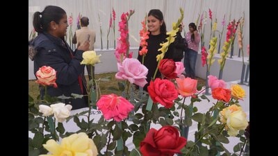 Various unique flower varieties hog limelight (HT photo) Various unique flower varieties hog limelight (HT photo)