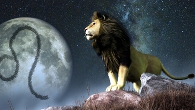 Leo Weekly Horoscope for January 22 ,2-28, 2023Leo natives can pack their bags and chase new adventures as the week is opportune for exploring new things.