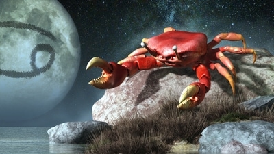 Cancer Weekly Horoscope for January 22 to 28, 2023: A wonderful and exciting week awaits you, Cancer natives.