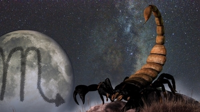 Scorpio Weekly Horoscope for January 22-28, 2023: Trust your instincts and money matters to keep the trade running smoothly and steadily.