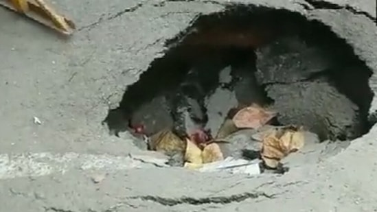 Portion of road caves in amid concerns over civic apathy in Bengaluru Portion of road caves in amid concerns over civic apathy in Bengaluru