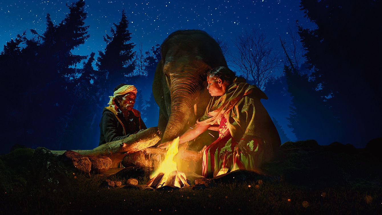 In the film, the viewer sees the forest as the Kattunayakan do — a shared, sacred space that belongs equally to the humans, elephants, eagles, hares, monkeys, tigers and leopards. ‘We walk in it barefoot, to show respect to it,’ Bellie says. In the film, the viewer sees the forest as the Kattunayakan do — a shared, sacred space that belongs equally to the humans, elephants, eagles, hares, monkeys, tigers and leopards. ‘We walk in it barefoot, to show respect to it,’ Bellie says.