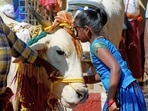The Gujarat court order said wealth is gained where cows are happy. 