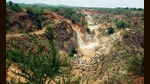 A zoo safari in an eco-fragile zone will not safeguard the area’s natural heritage. (HT PHOTO) A zoo safari in an eco-fragile zone will not safeguard the area’s natural heritage. (HT PHOTO)
