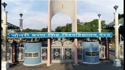 Both girls were students in a Korean university who arrived from Delhi to meet their Indian friend in Meerut. (Pic for representation)